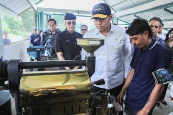 Wamentan targetkan Indonesia jadi penentu harga sawit di dunia