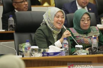 Komisi VII DPR mengapresiasi pengesahan kebijakan penghapusan utang UMKM