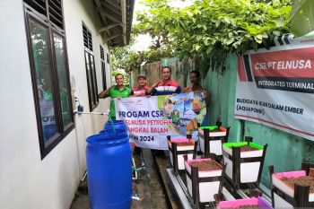 Kelompok wanita tani Pangkal Pinang raup omzet jutaan lewat Budikdamber