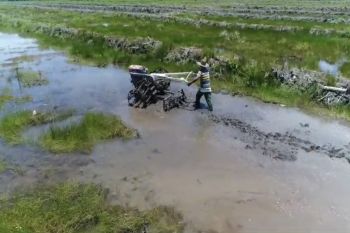 Bentuk Jaya wujudkan desa mandiri melalui program pemberdayaan masyarakat