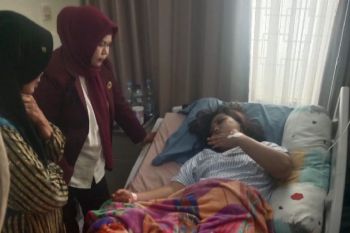 PPNI Papua sesalkan penganiayaan perawat di Mulia Puncak Jaya