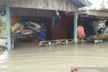 Pemkab Jayapura beri bahan makanan 22 keluarga terdampak banjir Distrik Yapsi