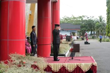 Pemkab Dharmasraya gelar upacara hari pahlawan-kesehatan nasional