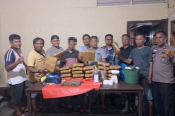 Polres Pasaman Barat lakukan pengembangan kasus 30 kilogram ganja