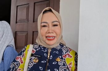 Pemprov Lampung sebut layanan publik desa terintegrasi secara digital