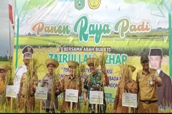 Tanah Bumbu Regent celebrates rice harvest in Kusan Tengah