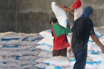 Pupuk Indonesia Niaga komitmen distribusikan pupuk subsidi
