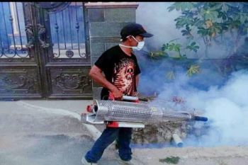 Dinas Kesehatan Tanggamus lakukan gerakan cegah dini penyebaran DBD