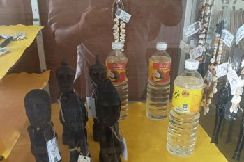 Pemkab Biak minta pelaku usaha manfaatkan pelayanan SIINas