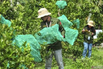 Ilmu Komunikasi dan strategi pembelajaran di era algoritma