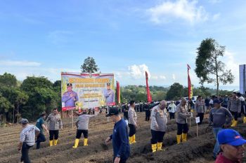Polda Kepri manfaatkan lahan produktif 25,4 ha tingkatkan ketahanan pangan