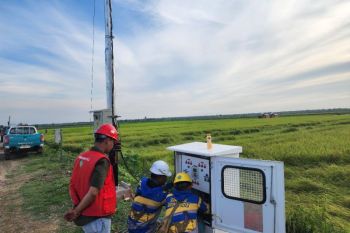 PLN kawal kunjungan kerja perdana Presiden ke Merauke dengan kelistrikan yang handal