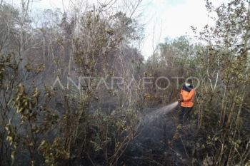 BRIN rekomendasikan mitigasi berbasis komunitas