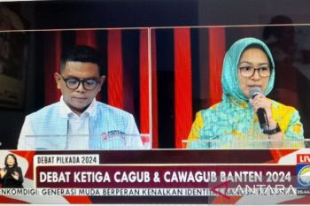 Airin sebut Disnaker Banten belum maksimal atasi pengangguran