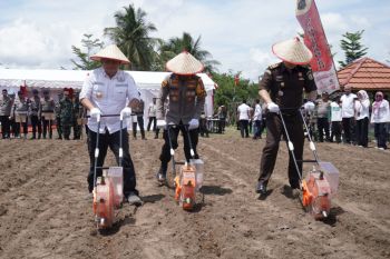 Banjar govt supports President Prabowo's food security program