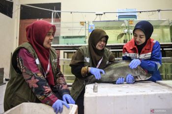 Pertamina perkuat riset energi dan pangan lewat PFsains