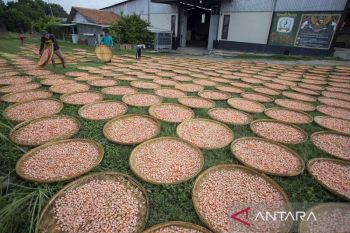 Realisasi penyaluran KUR per Oktober 2024