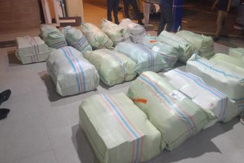 Bea Cukai Batam menindak 186 pelanggaran kepabeanan dan cukai