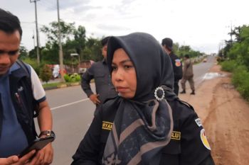 Bawaslu imbau kepala daerah kembali bertugas profesional usai kampanye