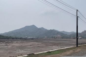 Bukit gundul di Sumbawa memanggil penyelamat