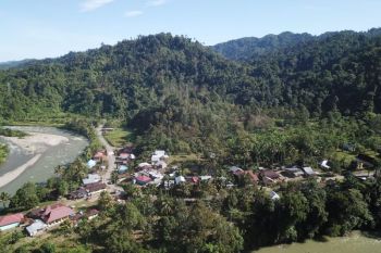 KKI Warsi-Pemprov Bengkulu manfaatkan dana GCF selamatkan hutan