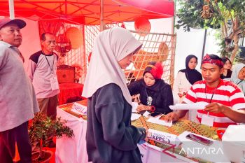 TPS unik di Situbondo tingkatkan partisipasi pemilih Pilkada 2024