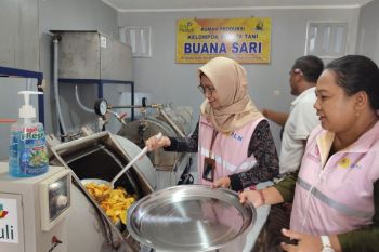 PLN bantu alat pendukung usaha untuk kelompok tani wanita di Jembrana