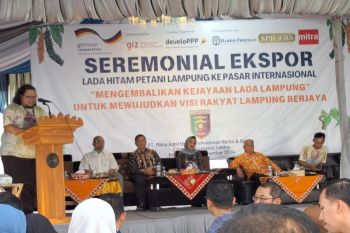 Kembalikan kejayaan, Lampung ekspor lada hitam melalui Vietnam