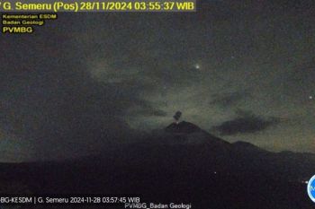 Gunung Semeru kembali erupsi