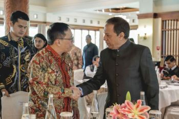 Energy transition vital for growth, climate: Indonesian official