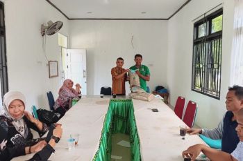 Tingkatkan Produktivitas Lahan, Dinas Pertanian Pessel salurkan bantuan Padi Sawah Teknologi MTOT