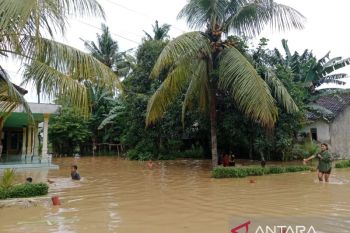 Ratusan rumah warga di Jember terendam banjir