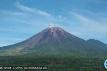 Gunung Semeru erupsi pada Sabtu pagi