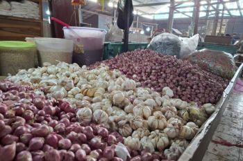 BPS Lampung catat tingkat inflasi di November sebesar 1,50 persen