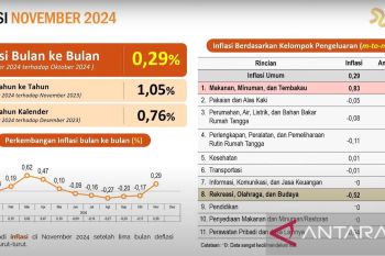 Pj Gubernur : Inflasi Sultra November 2024 stabil