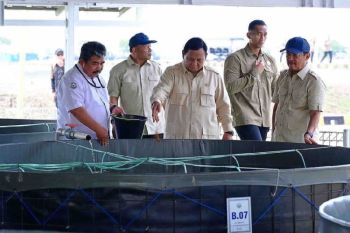 KKP siapkan panen siklus kedua BINS di Karawang dukung makan bergizi gratis