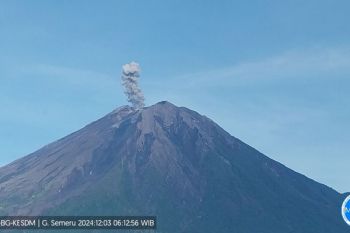 Gunung Semeru erupsi hari ini