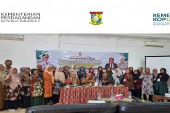 Disdagkop dan UMK Kampar latih pelaku UMKM membatik