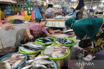 Pemkab Kobar terus tingkatkan pemahaman manfaat gemar makan ikan