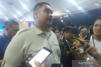 Menpora sebut naturalisasi Ole Romeny belum diajukan PSSI