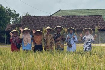 Menhut dukung swasembada pangan lewat perhutanan sosial