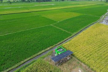 Pompa air tenaga surya untuk tingkatkan produksi pertanian