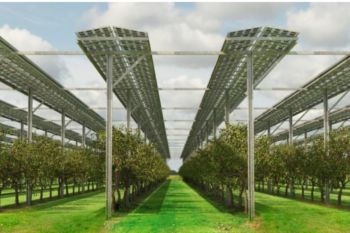 Agrivoltaics, Integrasi sistem PV dengan pertanian untuk dukung energi bersih dan ketahanan pangan