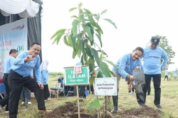 Pemkab Magetan targetkan ruang terbuka hijau capai 30 persen