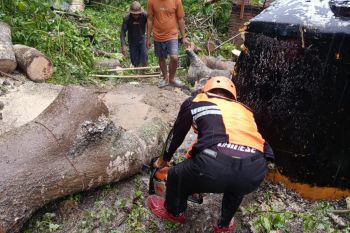 Para korban banjir di Lombok Tengah dapat bantuan logistik