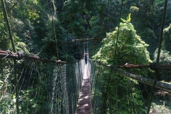 Taman di Jepang dinobatkan sebagai terkecil di dunia