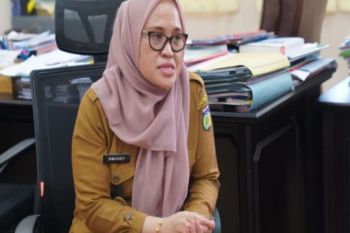 Pemkot-Palu: Perlu kolaborasi lintas lembaga lanjutkan manfaat IDRIP