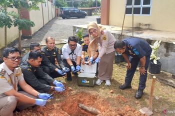 BKHIT Kepri musnahkan 30 ekor ikan sapu-sapu