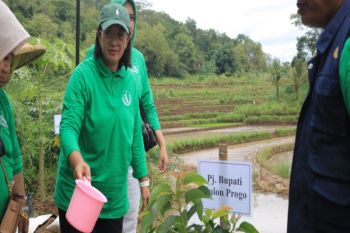 Persikindo Kulon Progo menanam pohon di Giripurwo lestarikan lingkungan