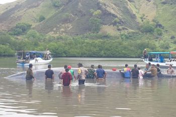 Seekor ikan paus ditemukan terdampar di perairan laut Ngada
